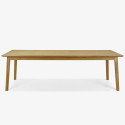 Dřevěný dubový stůl až pro 10 lidí 250 x 100 cm